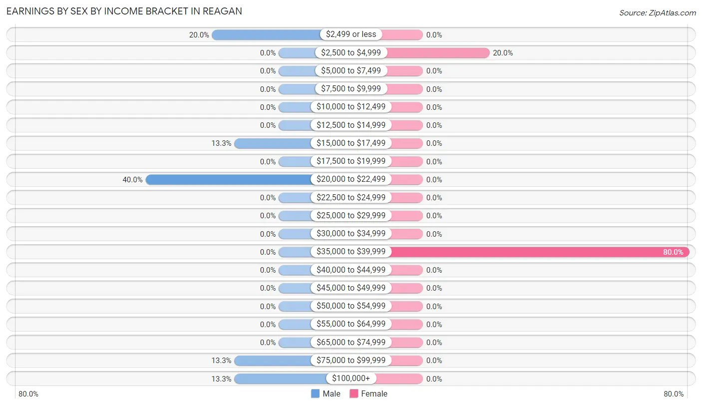 Earnings by Sex by Income Bracket in Reagan