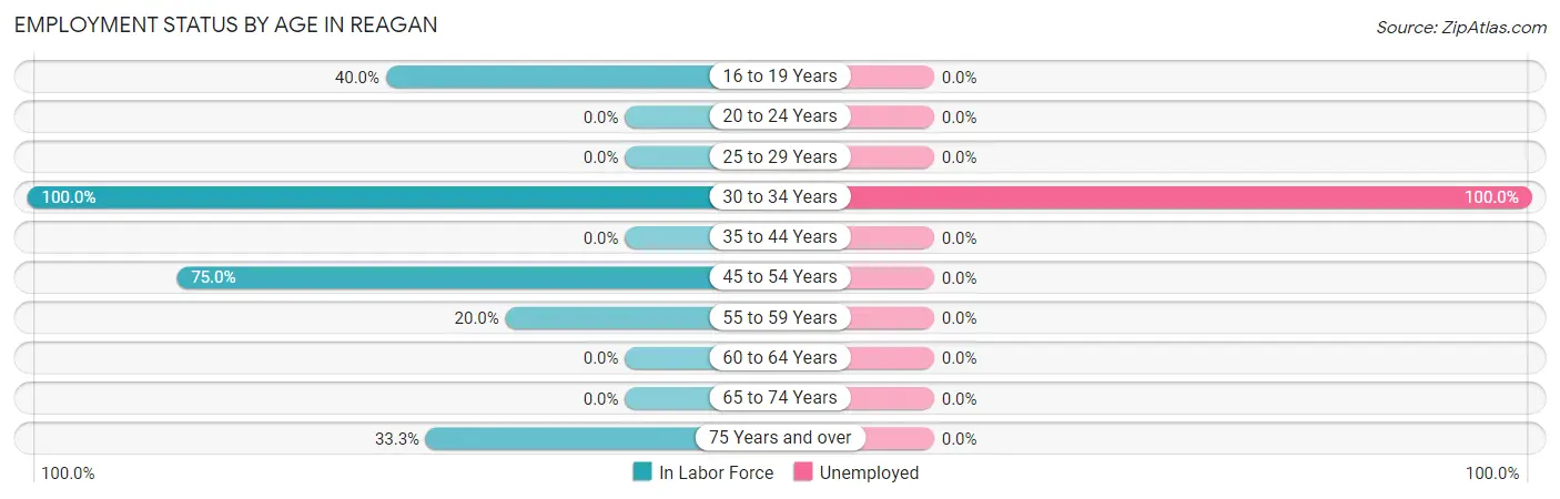 Employment Status by Age in Reagan