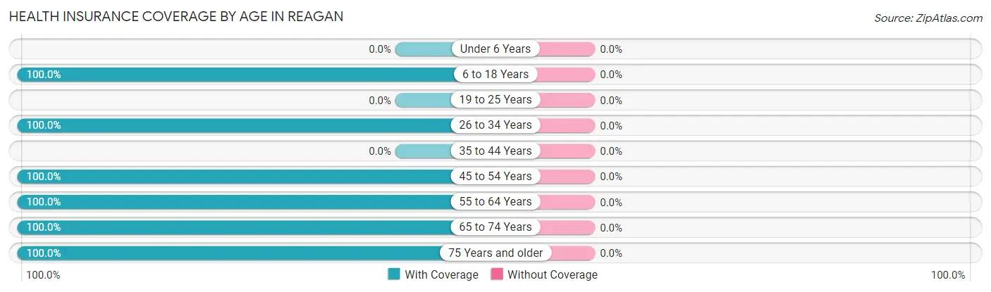 Health Insurance Coverage by Age in Reagan