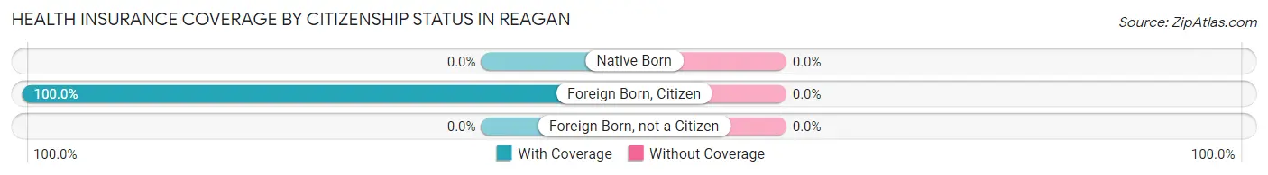 Health Insurance Coverage by Citizenship Status in Reagan