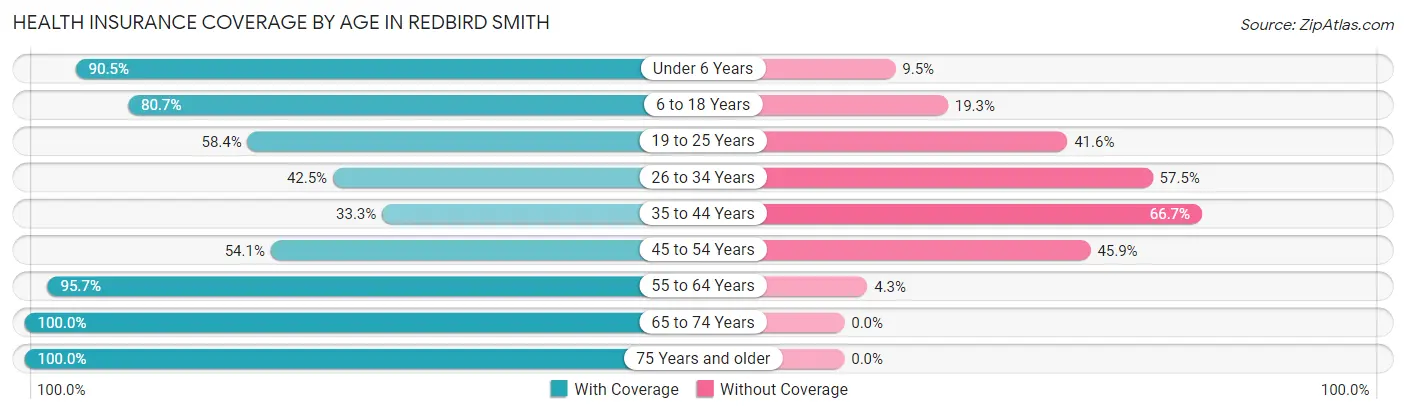 Health Insurance Coverage by Age in Redbird Smith