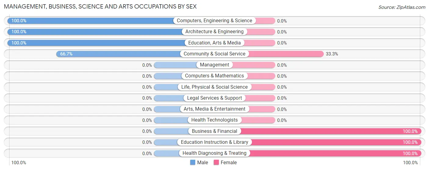 Management, Business, Science and Arts Occupations by Sex in Rentiesville