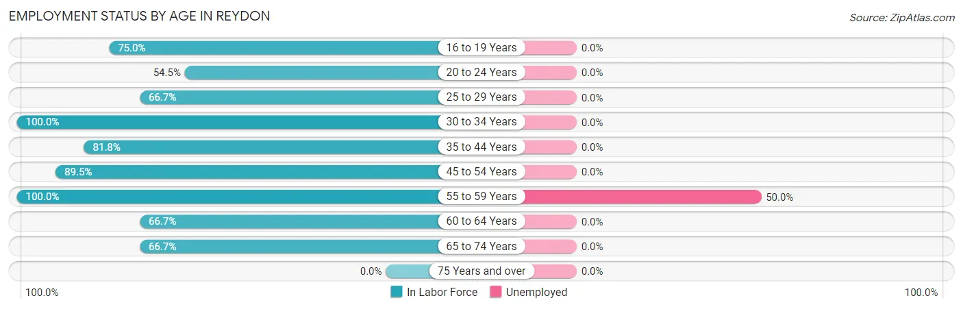 Employment Status by Age in Reydon