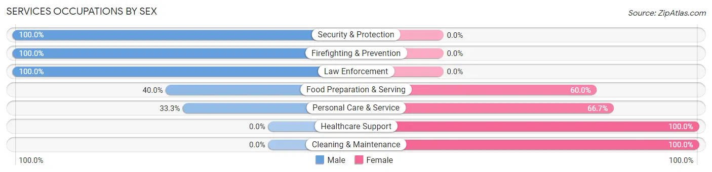 Services Occupations by Sex in Sawyer