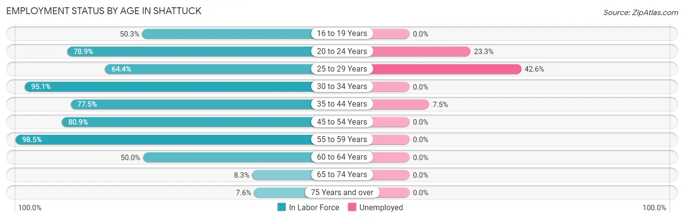 Employment Status by Age in Shattuck