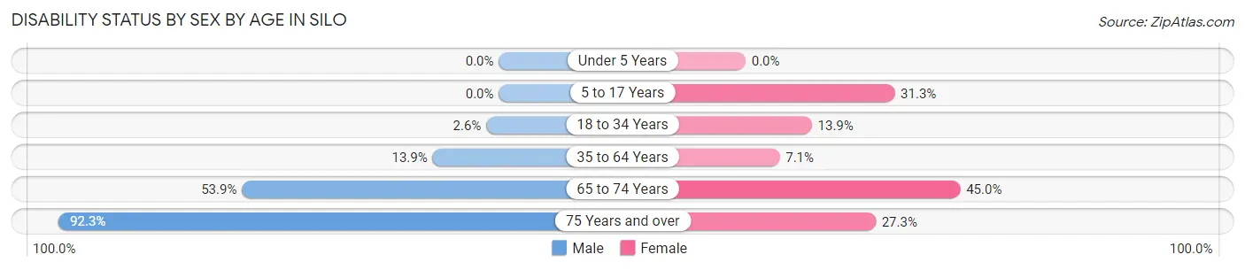 Disability Status by Sex by Age in Silo