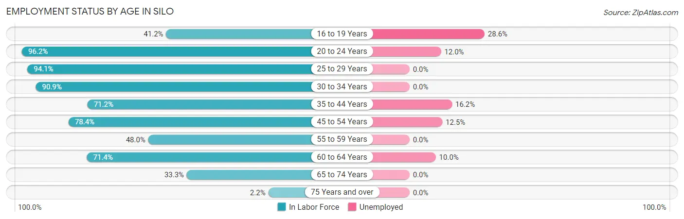 Employment Status by Age in Silo