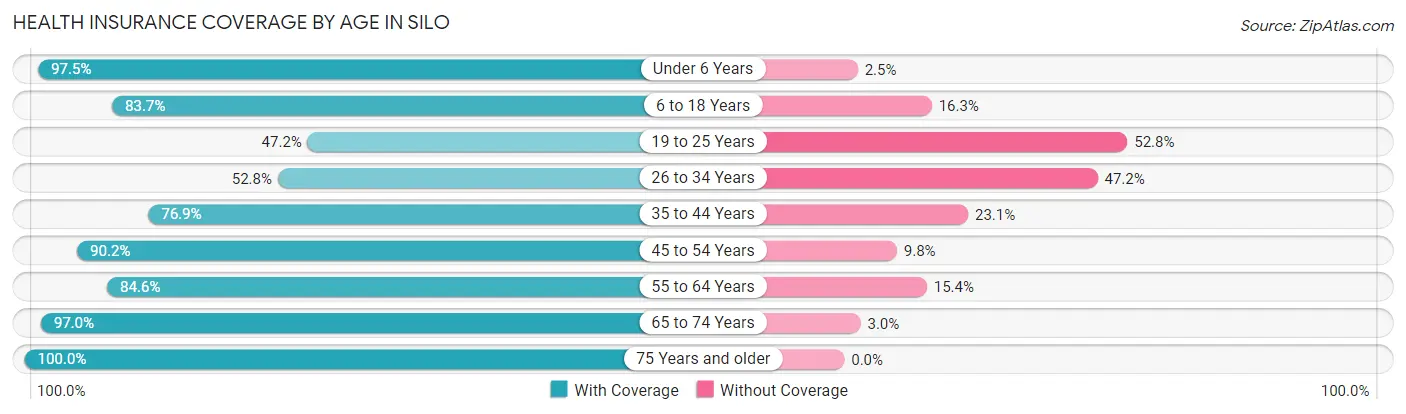 Health Insurance Coverage by Age in Silo