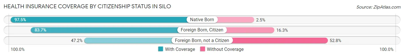 Health Insurance Coverage by Citizenship Status in Silo