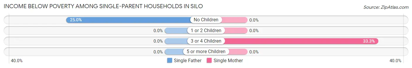 Income Below Poverty Among Single-Parent Households in Silo