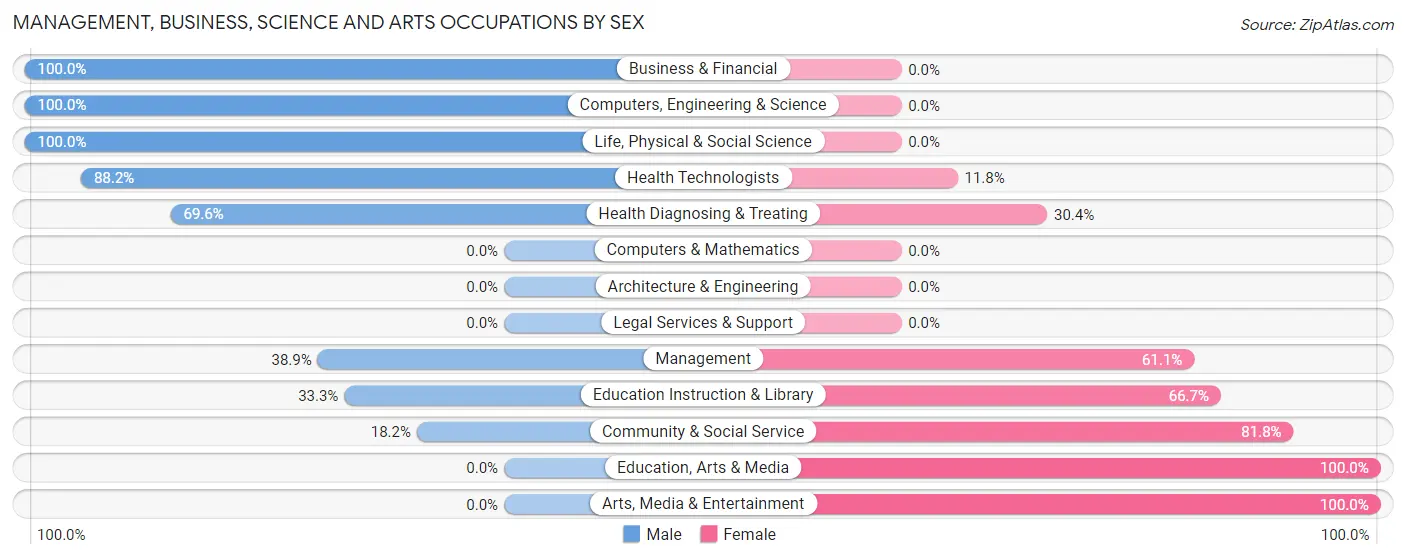 Management, Business, Science and Arts Occupations by Sex in Silo