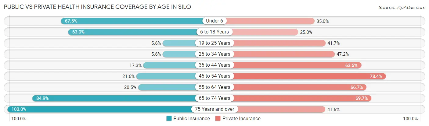 Public vs Private Health Insurance Coverage by Age in Silo