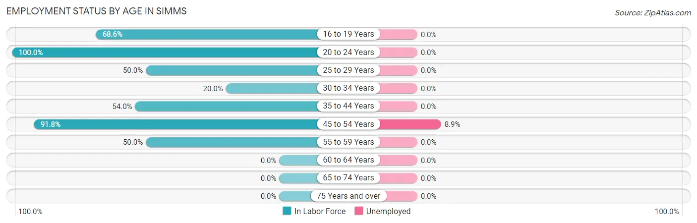 Employment Status by Age in Simms