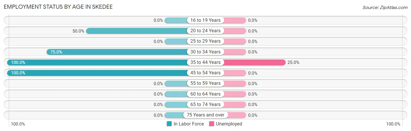 Employment Status by Age in Skedee