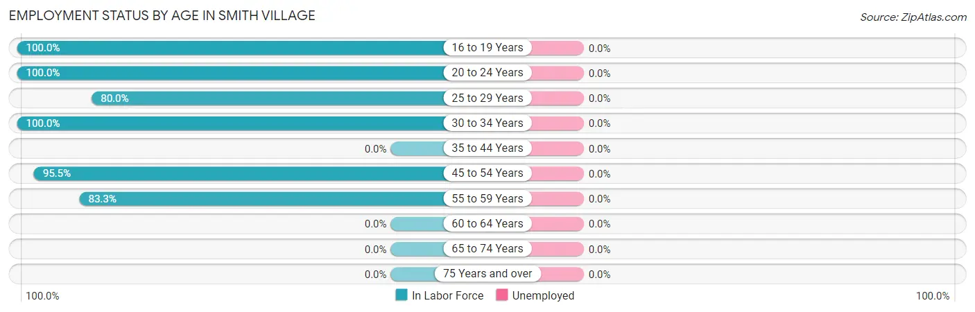 Employment Status by Age in Smith Village