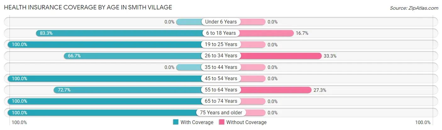 Health Insurance Coverage by Age in Smith Village