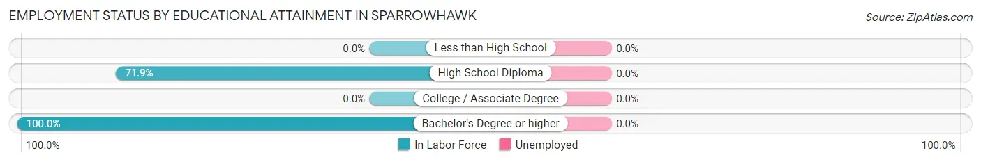 Employment Status by Educational Attainment in Sparrowhawk