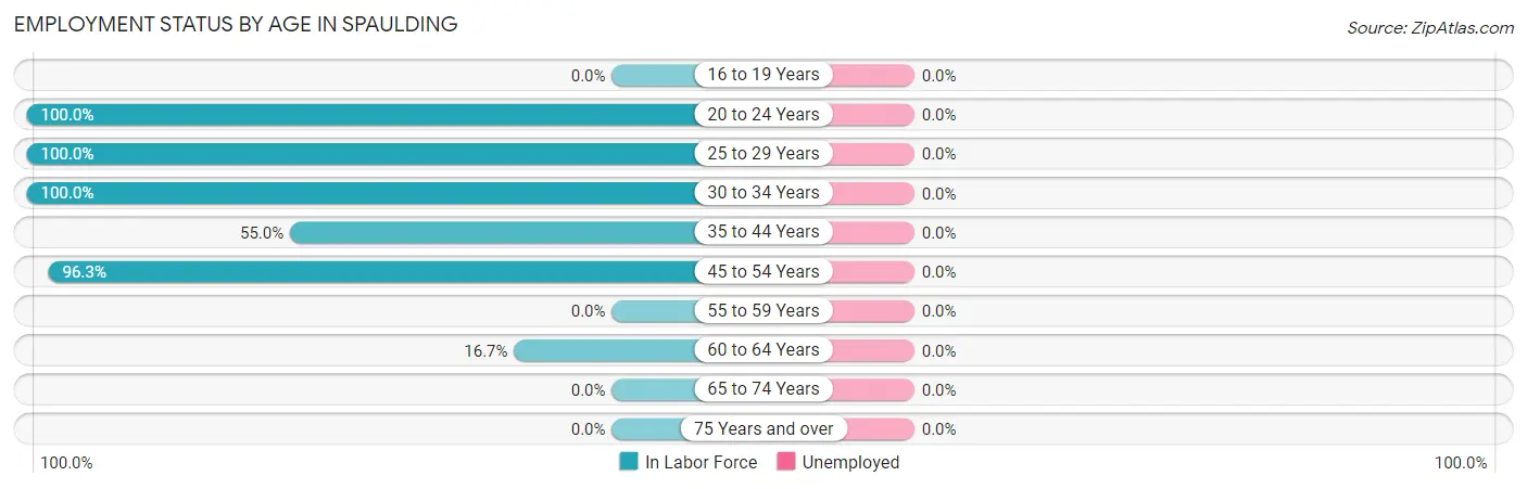 Employment Status by Age in Spaulding