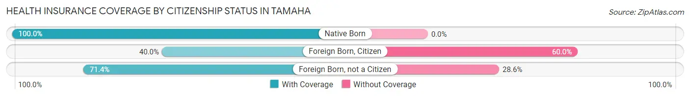 Health Insurance Coverage by Citizenship Status in Tamaha