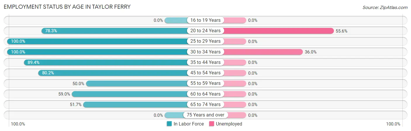 Employment Status by Age in Taylor Ferry