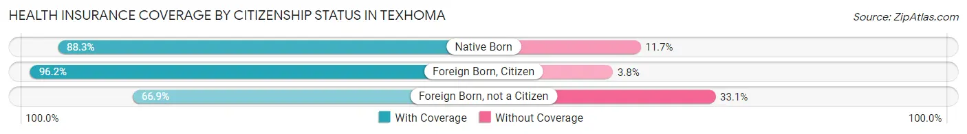 Health Insurance Coverage by Citizenship Status in Texhoma