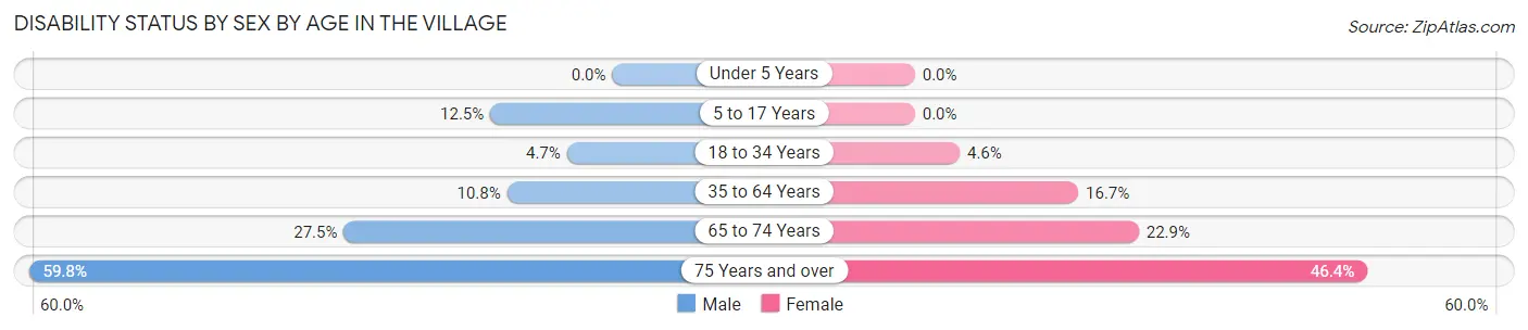 Disability Status by Sex by Age in The Village