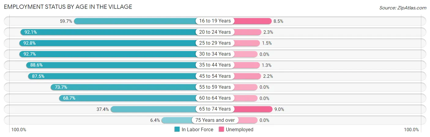 Employment Status by Age in The Village
