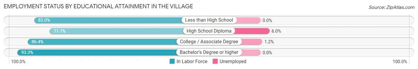 Employment Status by Educational Attainment in The Village