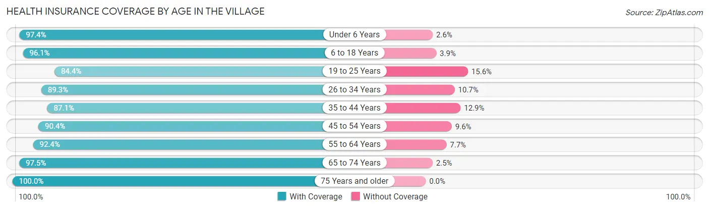 Health Insurance Coverage by Age in The Village