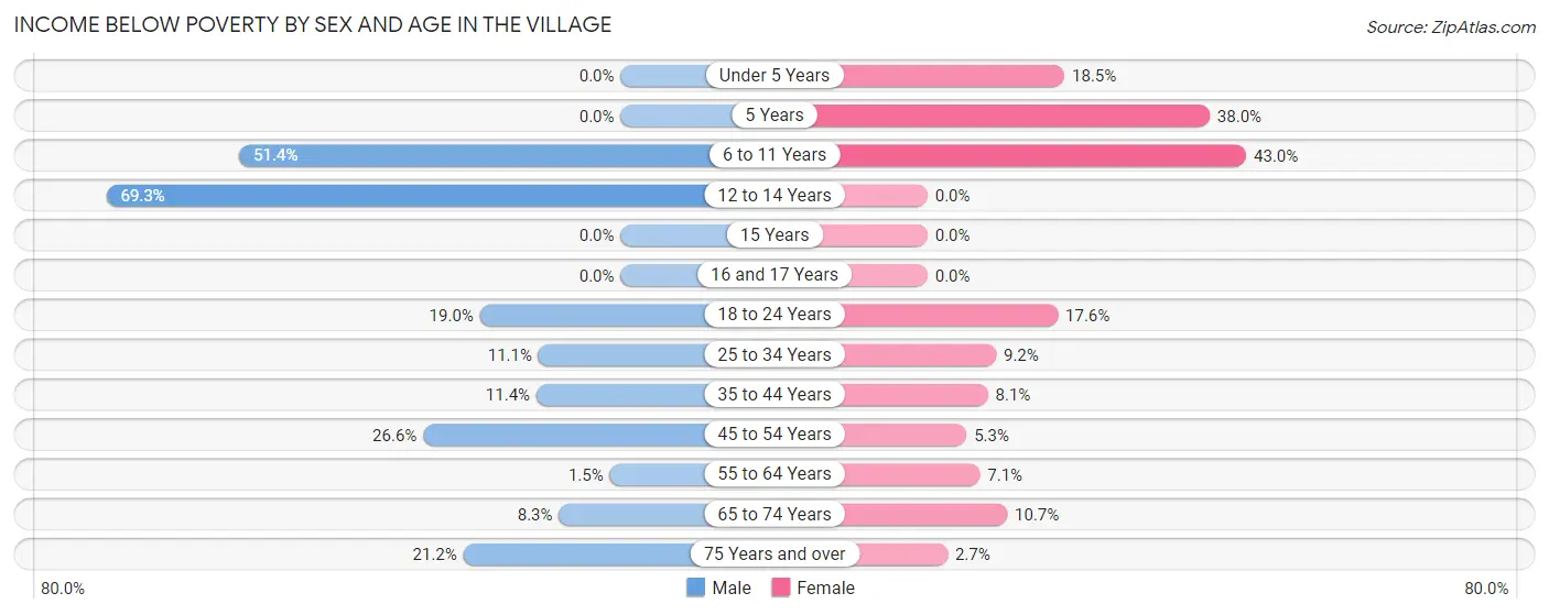 Income Below Poverty by Sex and Age in The Village