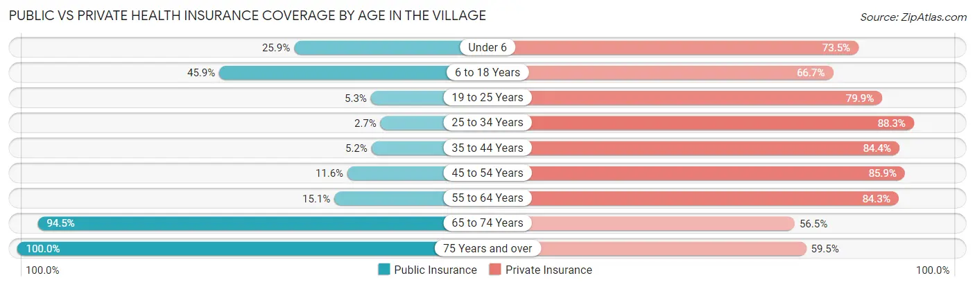 Public vs Private Health Insurance Coverage by Age in The Village
