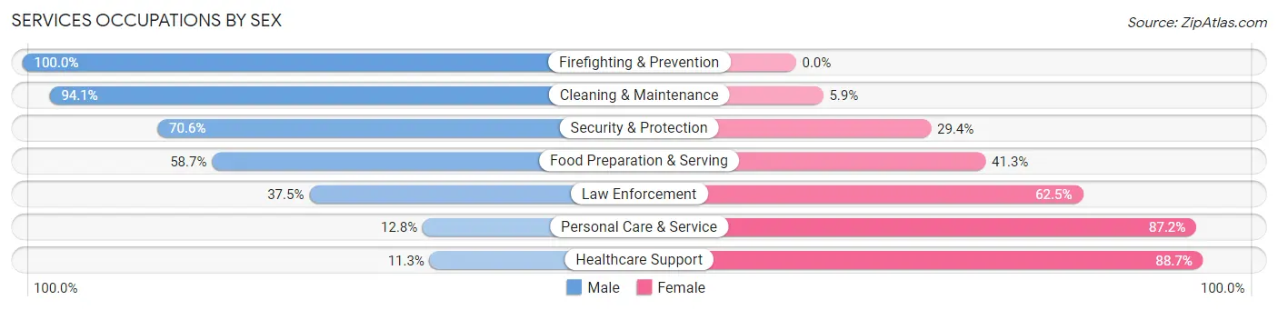Services Occupations by Sex in The Village