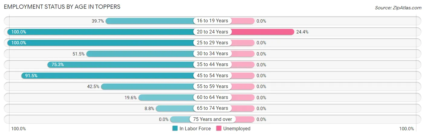 Employment Status by Age in Toppers
