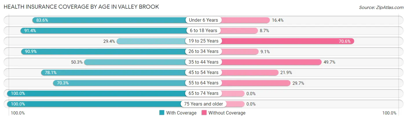 Health Insurance Coverage by Age in Valley Brook