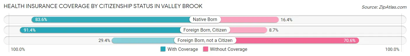 Health Insurance Coverage by Citizenship Status in Valley Brook