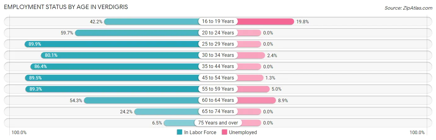 Employment Status by Age in Verdigris