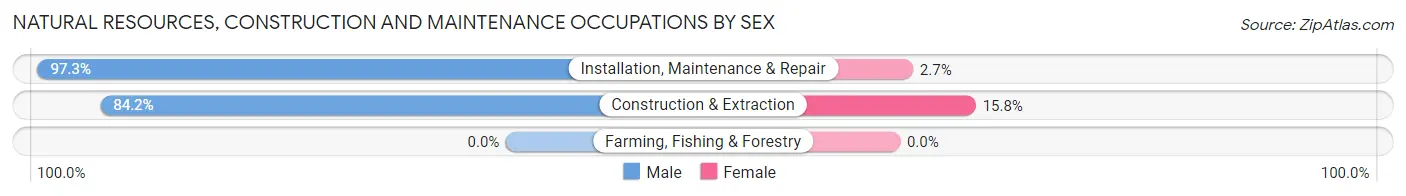 Natural Resources, Construction and Maintenance Occupations by Sex in Verdigris