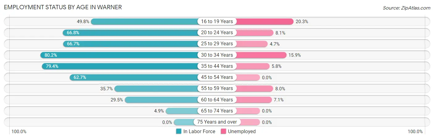 Employment Status by Age in Warner