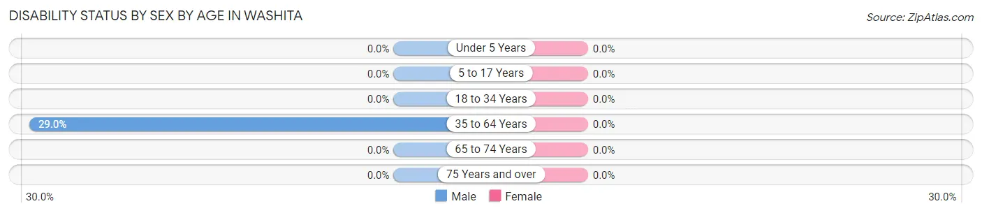 Disability Status by Sex by Age in Washita