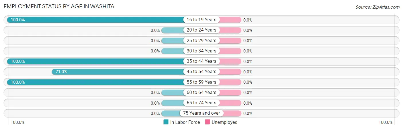Employment Status by Age in Washita