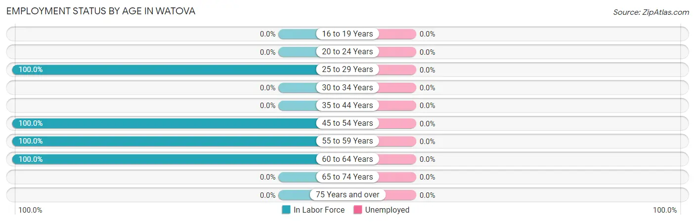 Employment Status by Age in Watova