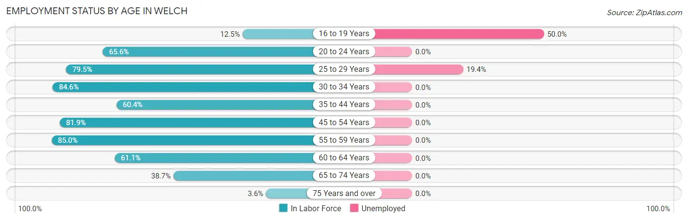 Employment Status by Age in Welch