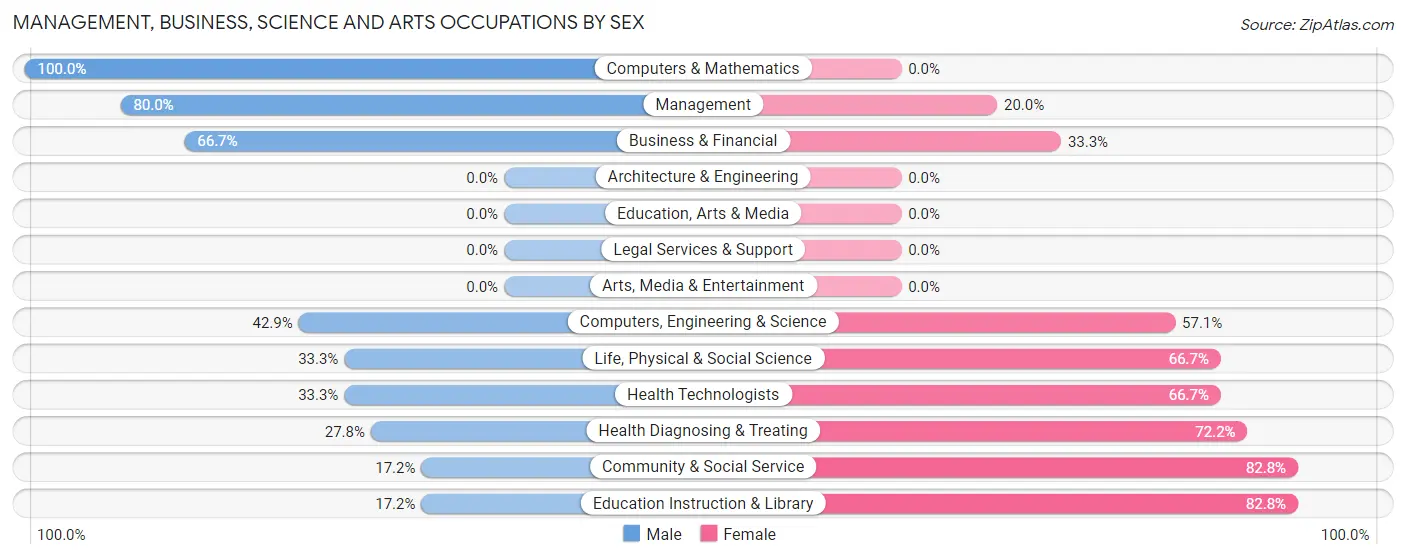 Management, Business, Science and Arts Occupations by Sex in Welch