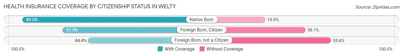 Health Insurance Coverage by Citizenship Status in Welty