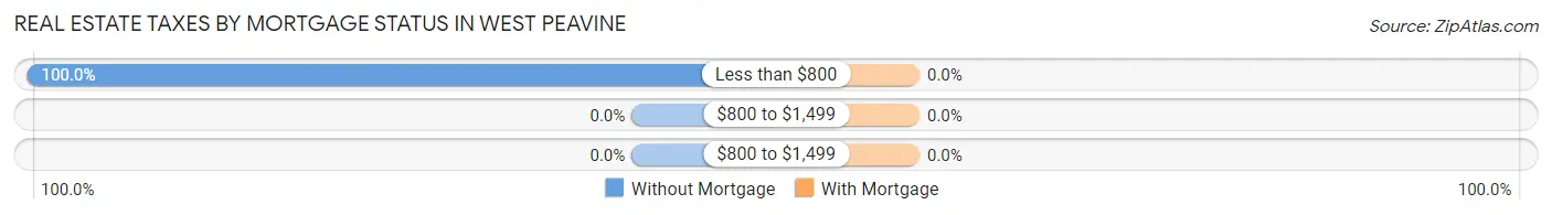 Real Estate Taxes by Mortgage Status in West Peavine