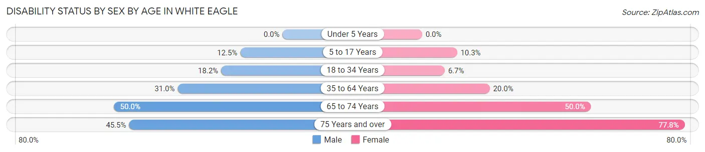 Disability Status by Sex by Age in White Eagle
