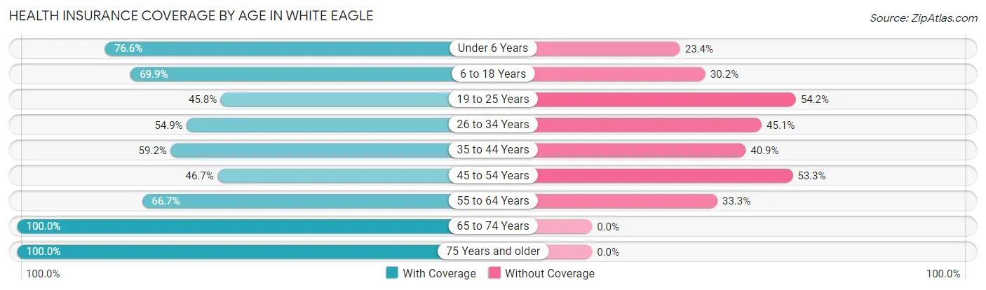 Health Insurance Coverage by Age in White Eagle
