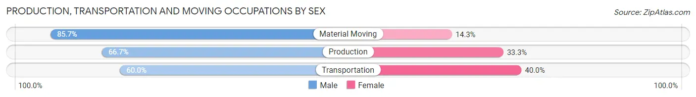 Production, Transportation and Moving Occupations by Sex in White Eagle