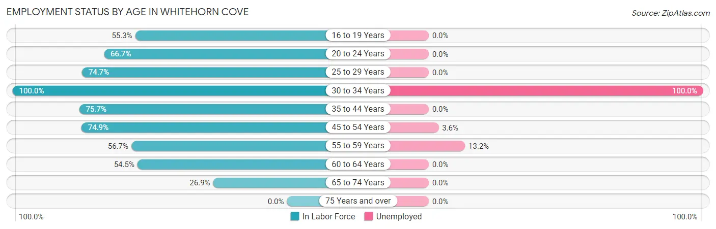 Employment Status by Age in Whitehorn Cove