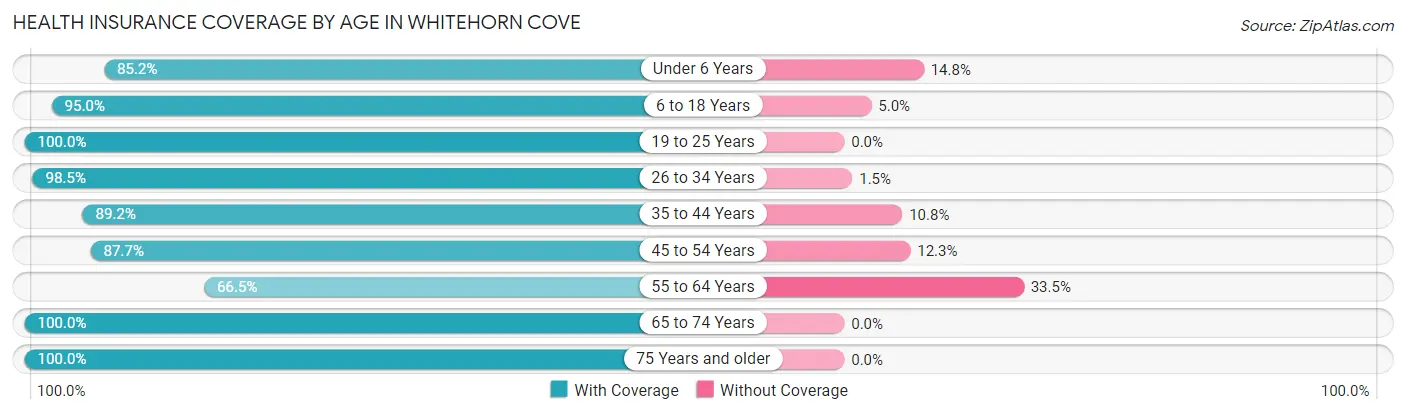 Health Insurance Coverage by Age in Whitehorn Cove